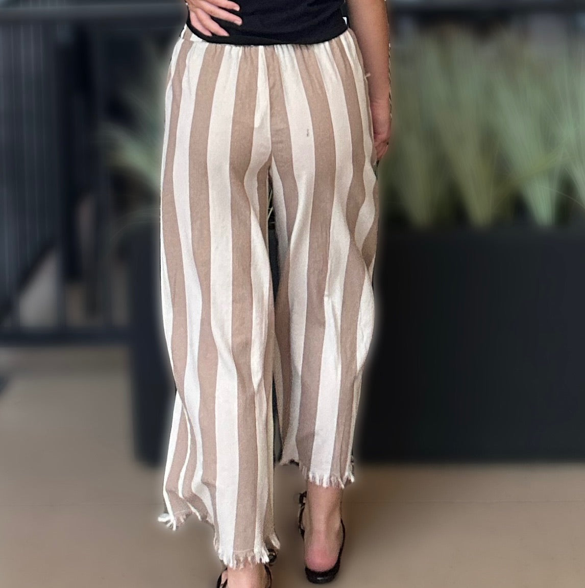 BACK VIEW OF PANTS
